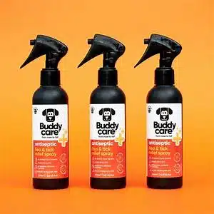 BuddyCare Pet Antiseptic Flea & Tick Relief Spray - 200ml