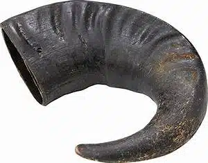 Buffalo Horn - Large