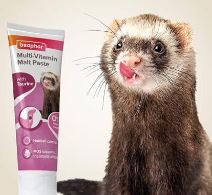 Beaphar Vitamin/Malt Paste 100g