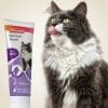 Beaphar 2 In 1 Hairball Paste 100g