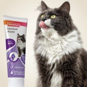 Beaphar 2 In 1 Hairball Paste 100g