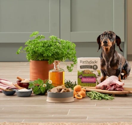 Forthglade Gourmet Dog Duck & Venison 395g - Image 2