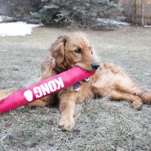 Alternative view of KONG Signature Stick - Large 48cm