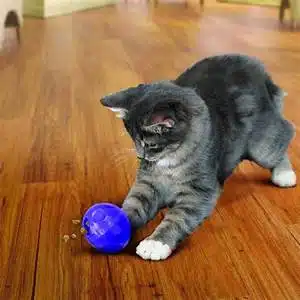 KONG Cat Treat Ball