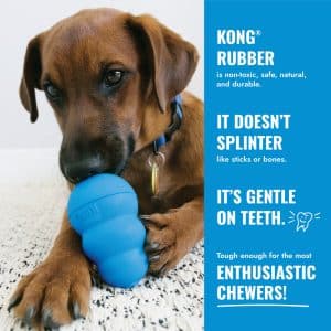 KONG Puppy X-Small