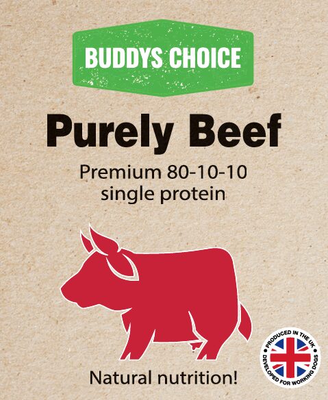 Buddy's Choice Purely Beef 80-10-10
