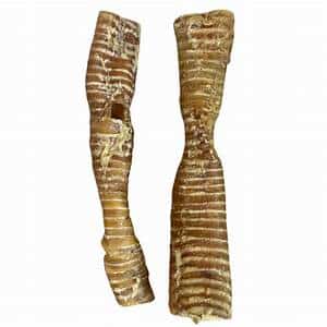 Buffalo Trachea - 2 Pieces