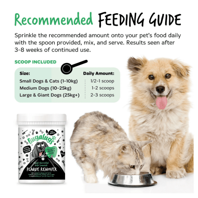 Natural Plaque Remover for Dogs & Cats - Image 2