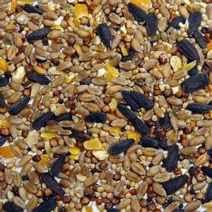 Bartholomews Colonels Xtra Wild Bird 2.5kg