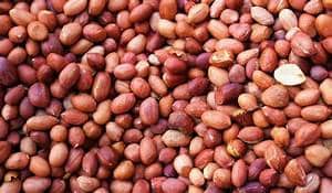 Bartholomews (Colonels) Peanuts 13kg
