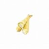 Puffed Buffalo Tail