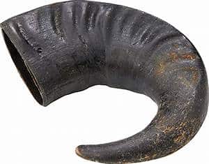 Buffalo Horn - Large