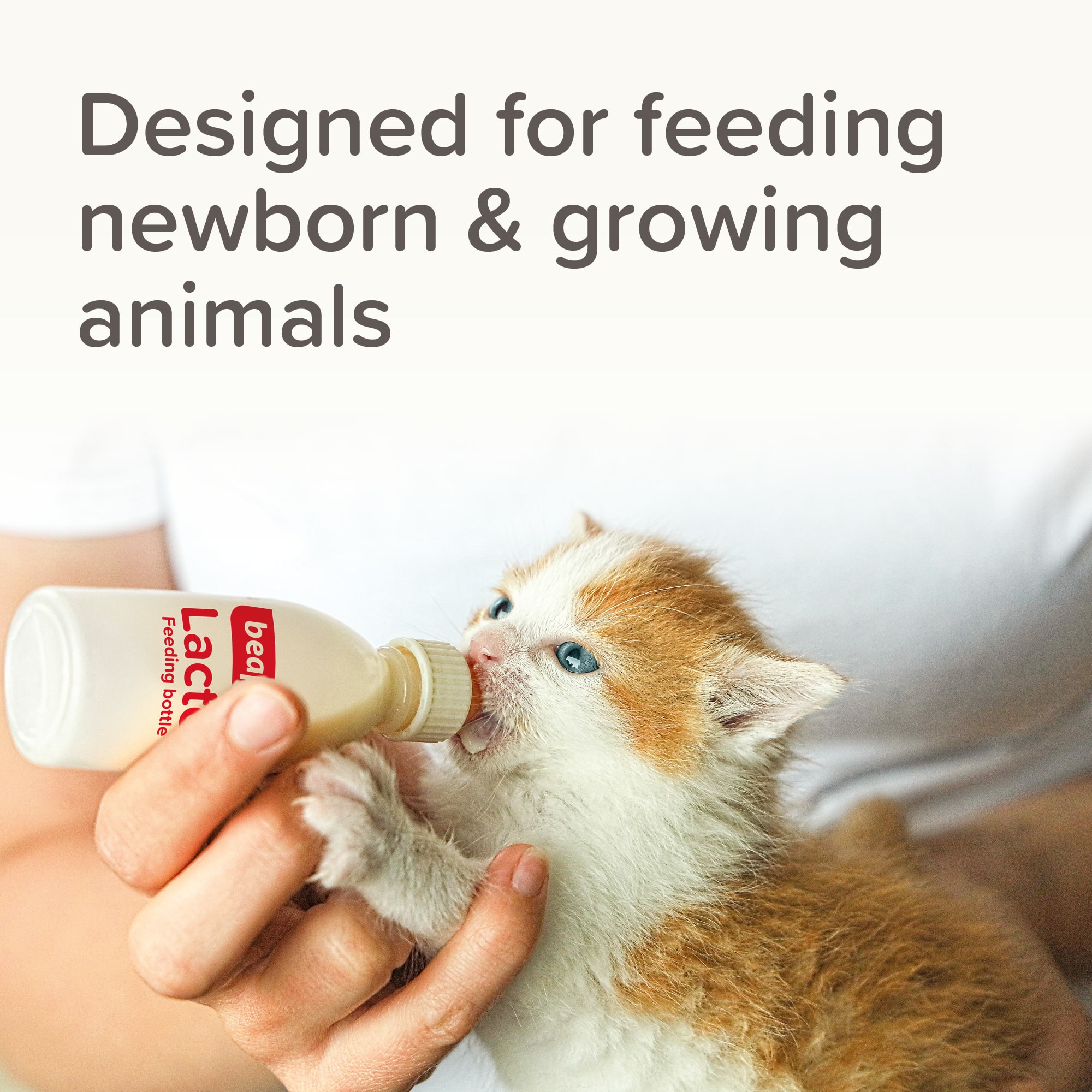 Beaphar Lactol Feeding Set - Image 3