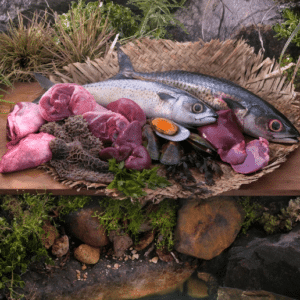 ZIWI Peak Cat Cuisine Mackerel & Lamb