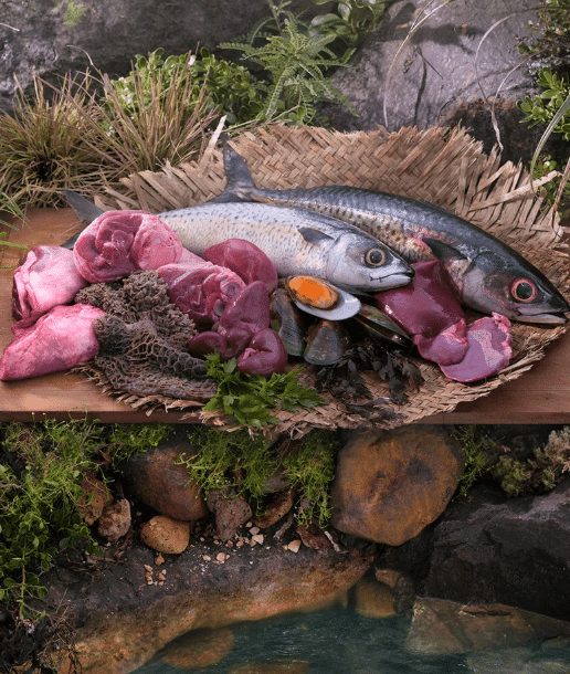 ZIWI Peak Cat Cuisine Mackerel & Lamb
