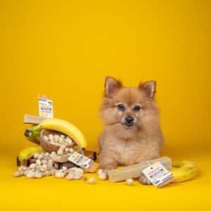 Alternative view of YAKERS Peanut & Banana Dog Chew XL