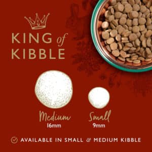 Eden 80/20 Country Cuisine Dog Food 2kg - Image 4
