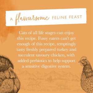 Eden Feline Feast Turkey & Chicken Dry Cat Food 1.5kg - Image 4