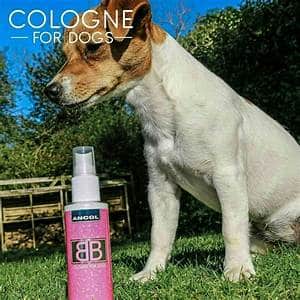 Ancol BB Dog Cologne - Dog Fragrance 100ml - Image 2